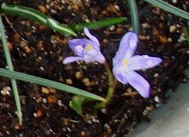 DSC02041-3-21-1.jpg