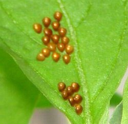 DSC05118-9-10-1.jpg