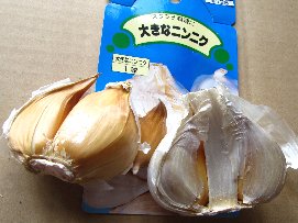 IMG_0888-1.jpg