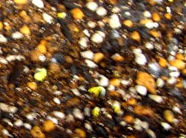 IMG_1958-9-20-1%2016%2055.jpg