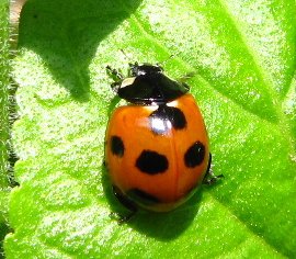 IMG_5801-3.jpg