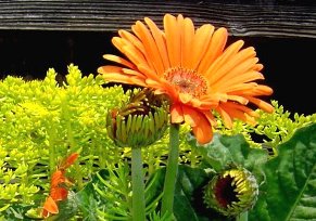 DSC0237219-5%2016-2.jpg