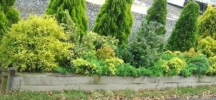 DSC01834-19-5-6-2.jpg