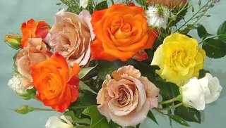 DSC02469-19-5%2019-1-1.jpg