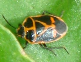 DSC05156-2.jpg