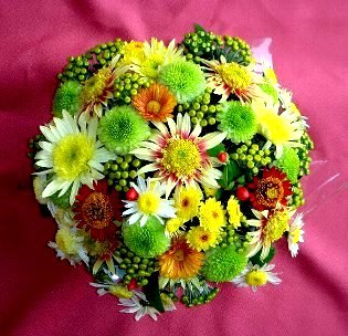 DSC06114-11-9.jpg