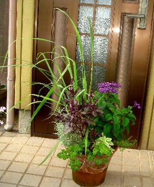 DSC02299-8-4-1.jpg