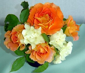 DSC02474-1.jpg