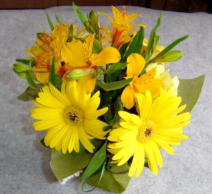 DSC03070-19-6-1-1.jpg