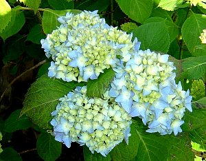 DSC03105-19-6-2.jpg