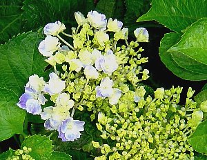 DSC03112-19-6-2.jpg