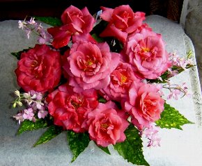 DSC03526-19-6-15-1.jpg