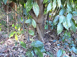 IMG_0788-1.jpg
