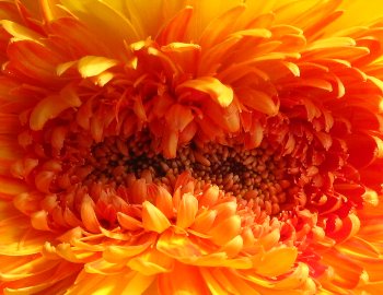 IMG_6117-9-8-3.jpg