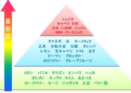 images[5].jpg